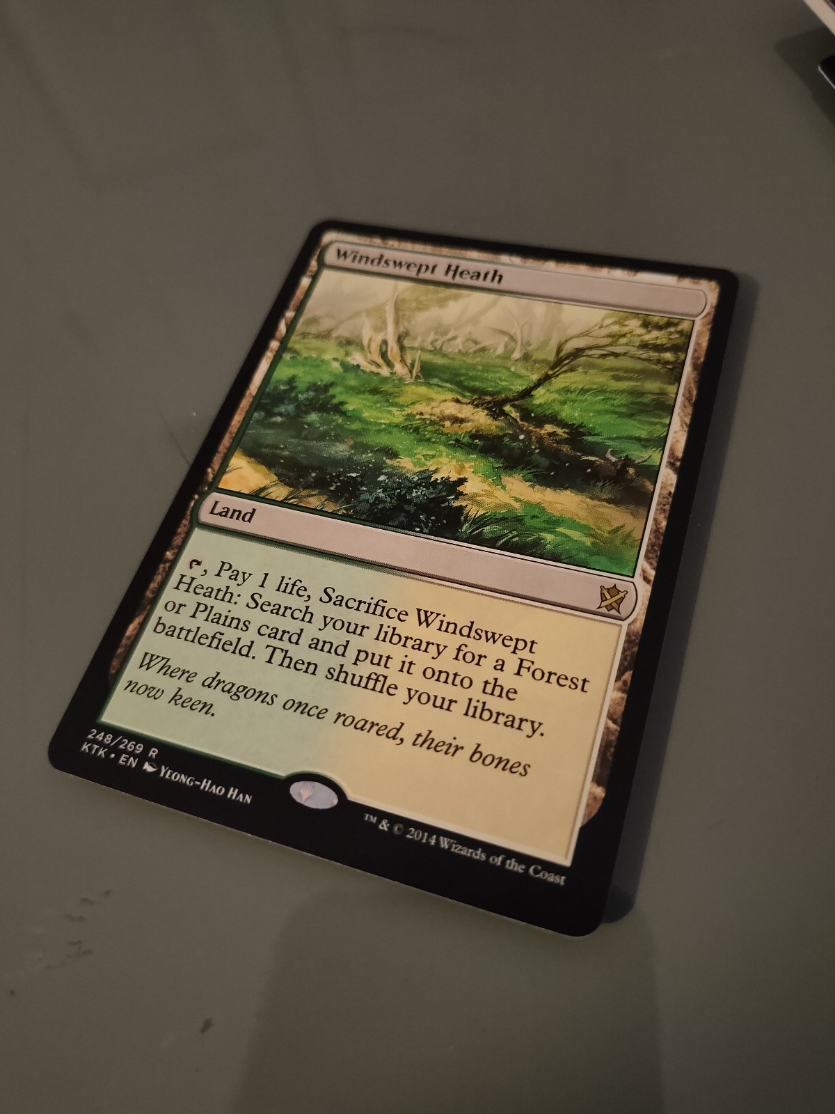 Windswept Heath Khans of Tarkir Magic: The Gathering