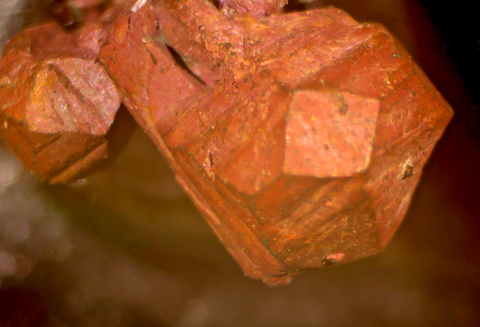 CLASSIC Vintage native Copper Xl. Quincy Mine, HOUGHTON Co., MI-Micromount