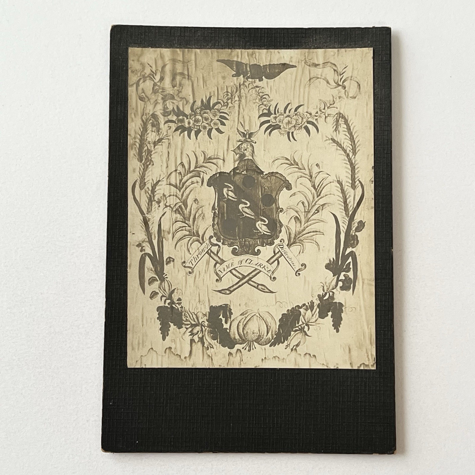 Antique Photograph On Board Beautiful Coat Of Arms Folk Art ID Clarke Family