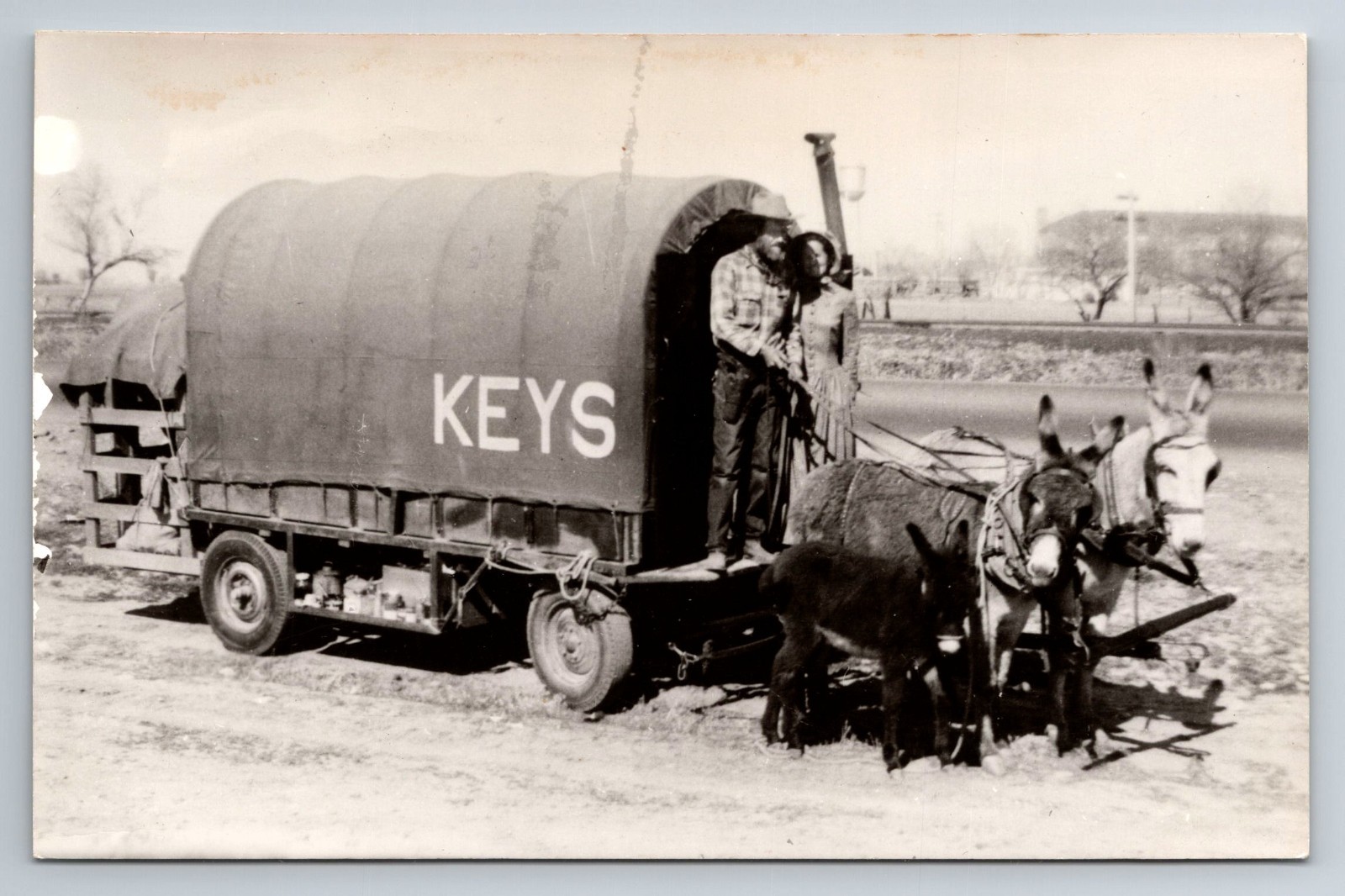 Wagon pulled by Donkeys, Man, Woman, Keys, RPPC, Real Photo, Vintage Postcard Wagon pulled by Donkeys, Man, Woman, Keys, RPPC, Real Photo, Vintage Postcard