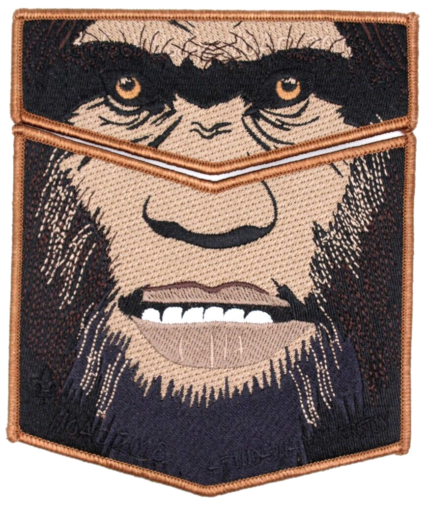 2018 NOAC Trader Bigfoot Lodge 620 Flap Set Glacier\'s Edge Patches Wisconsin OA