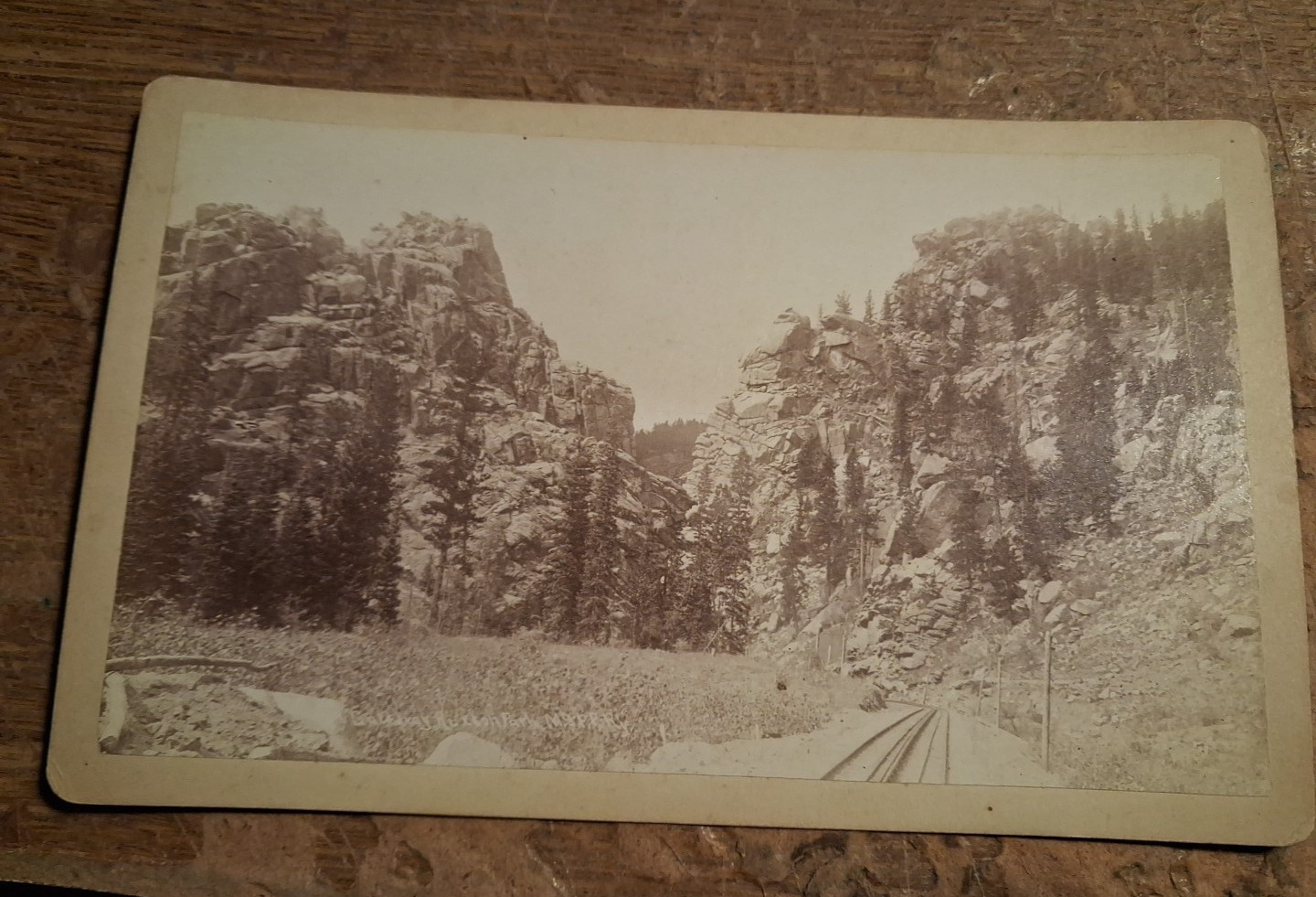 Rare C1891 James L.Clinton Colorado Midland Railway Photograph Ruxton Park track