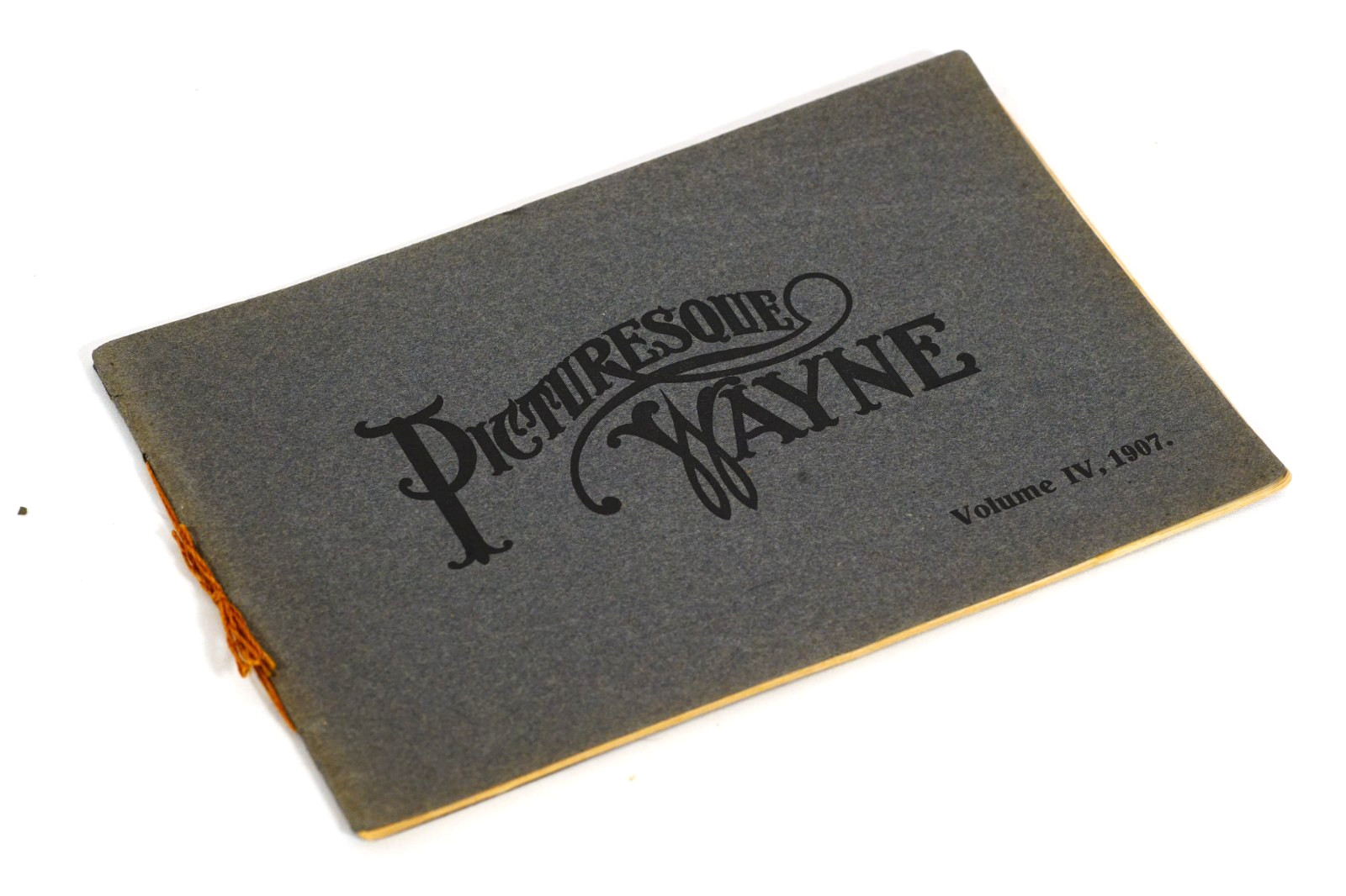 1907 Wayne County PA Picturesque Wayne Album Prints Picture Book