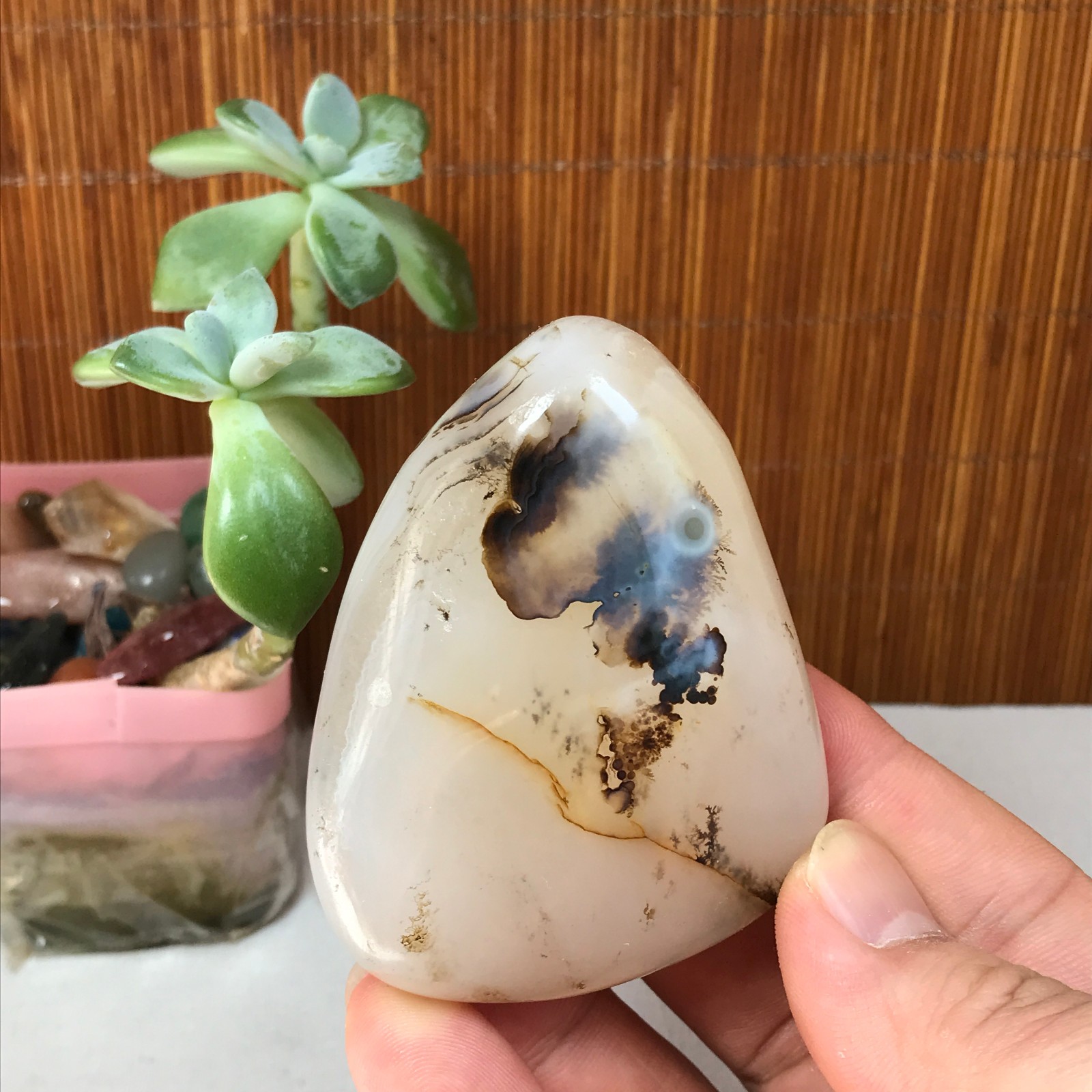72-55-27mm Natural aquatic plants agate pretty Crystal specimens 148g A1879