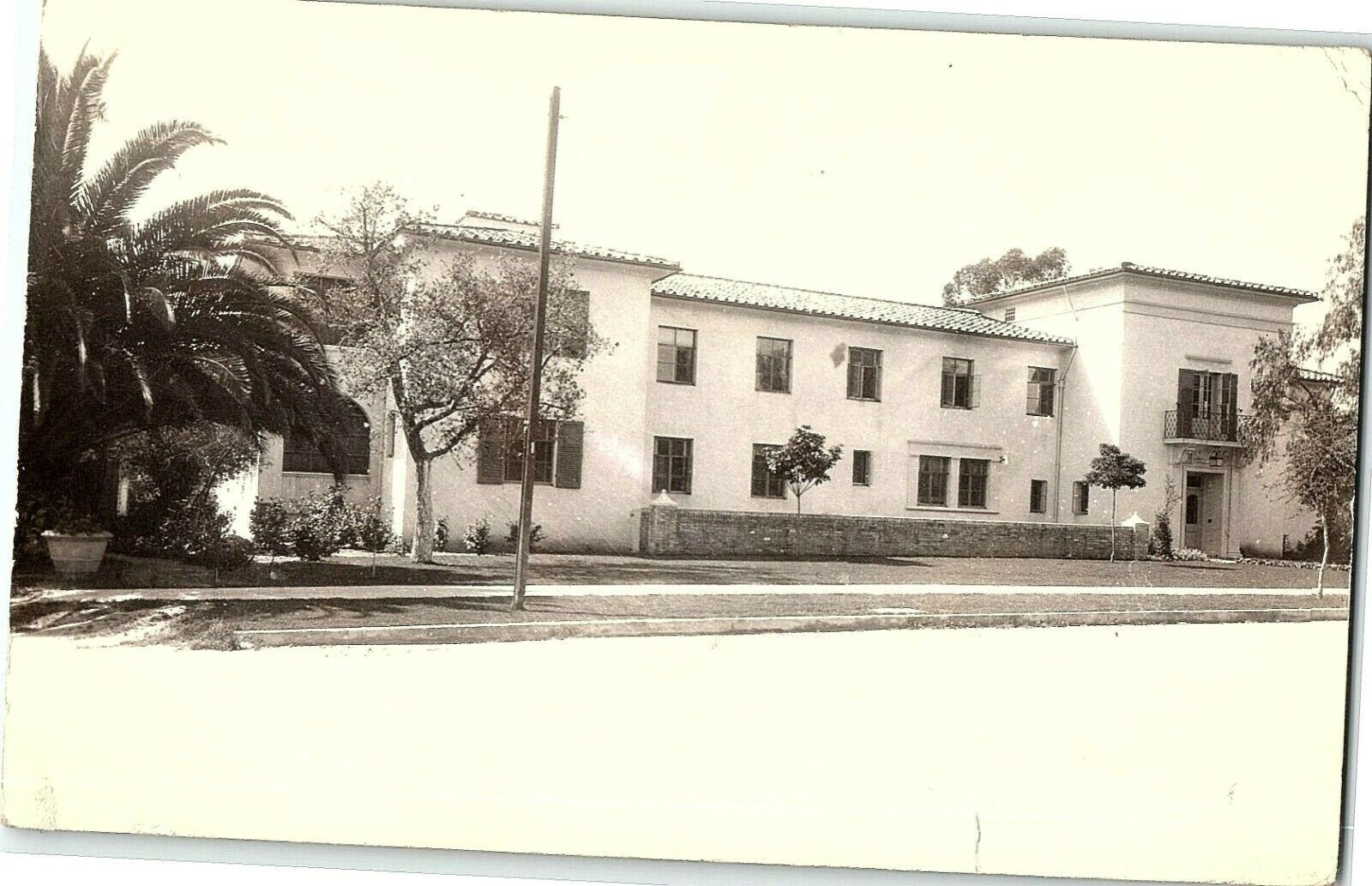 c1945 Random Mansion Claremont California Postcard Rppc Real Photo Palm Tree