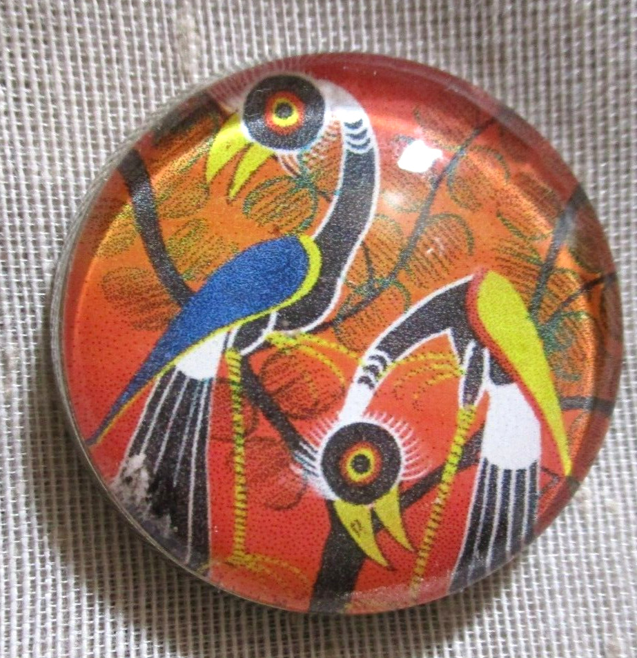 LG GLASS DOME PIC BUTTON SMALL COLORFUL AFRICAN BIRDS   30mm