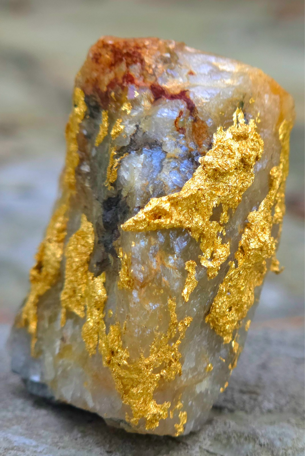 Gold Ore Specimen 51.70g Telluride Gold ☆Tariff Paid Shipping☆VERY NICE☆