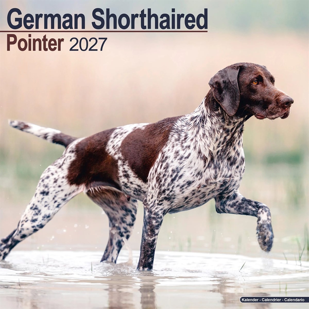 German Shorthaired Pointer Calendar 2027 Dog Wall Calendar