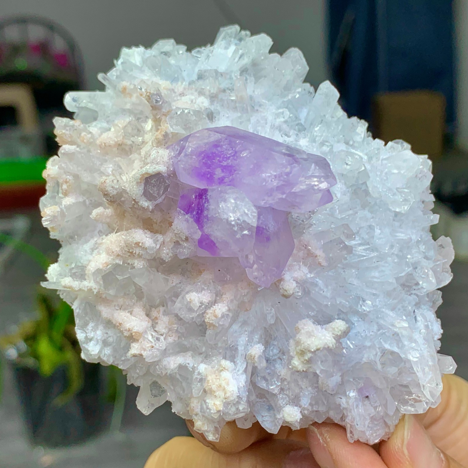 284G Natural Transparent Chrysanthemum crystal Cluster with Amethyst Specimen