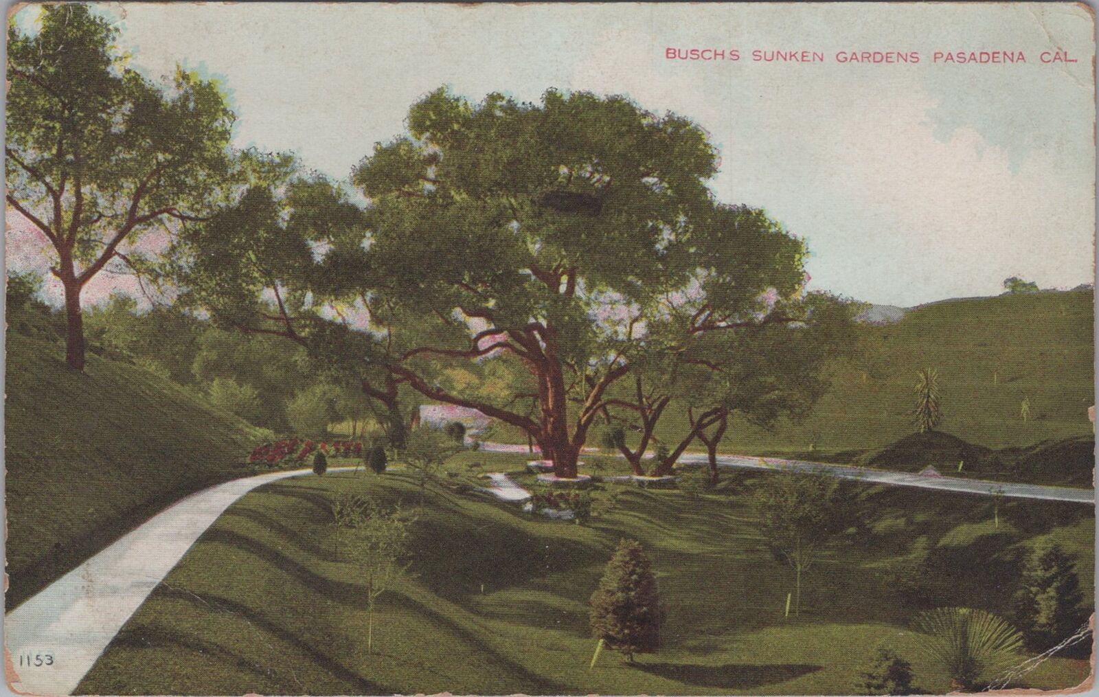Busch\'s Sunken Gardens Pasadena California Postcard