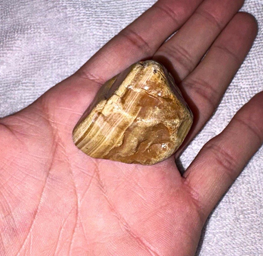 Natural Crowley’s Ridge Banded Chalcedony Agate Chert Nodule Arkansas Rough 51g