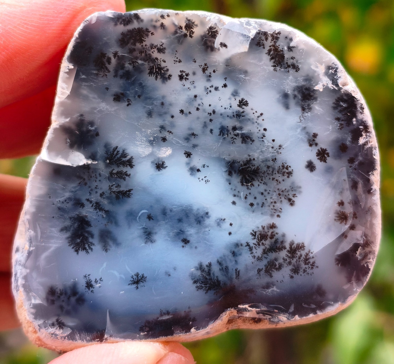 4.4 Oz Mirror Polished Dendritic Agate