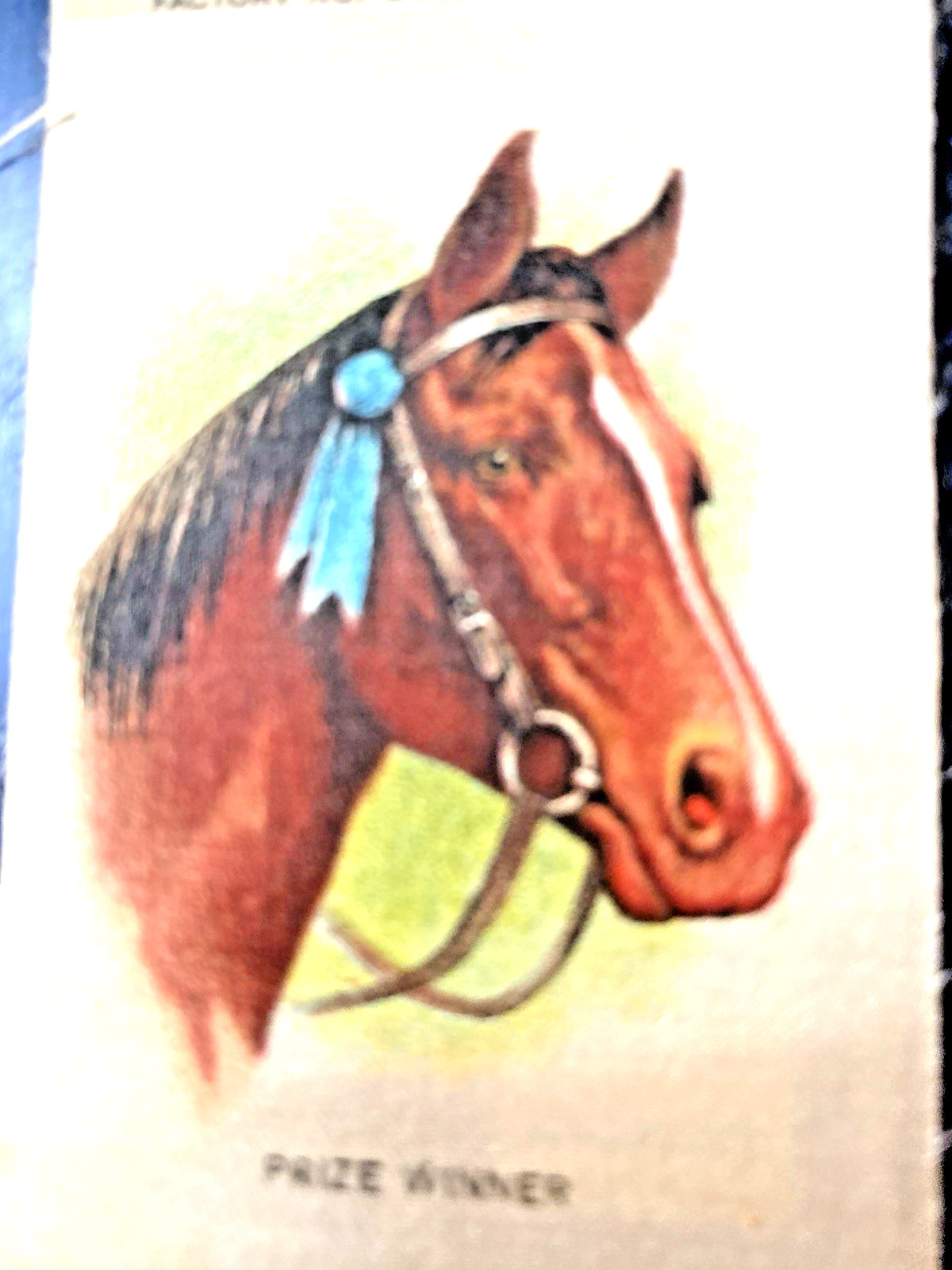 Antique Tobacco Silk Advertising Premium Prize Winner Horse #14 Cigarettes