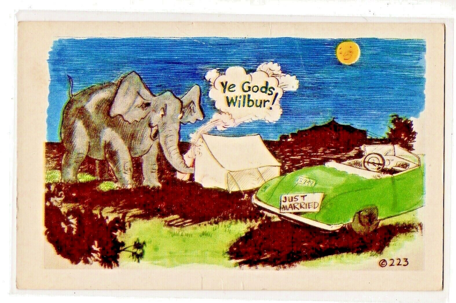Honeymoon Humor Naughty Camping Tent Elephant Trunk Ye Gods Wilbur  PUN Z132A