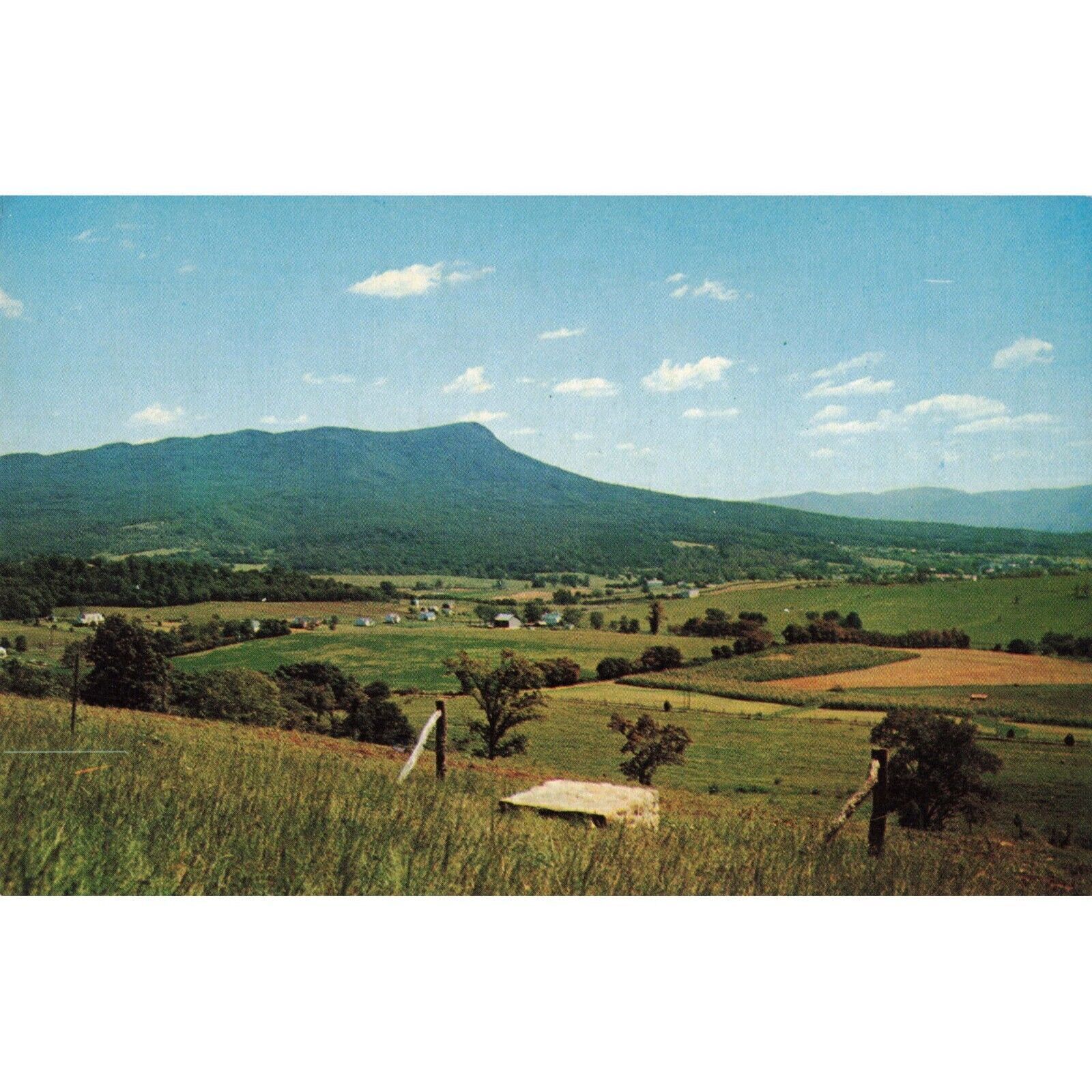 Massanutten Peak & Valley Landscape Postcard / 2R3-650
