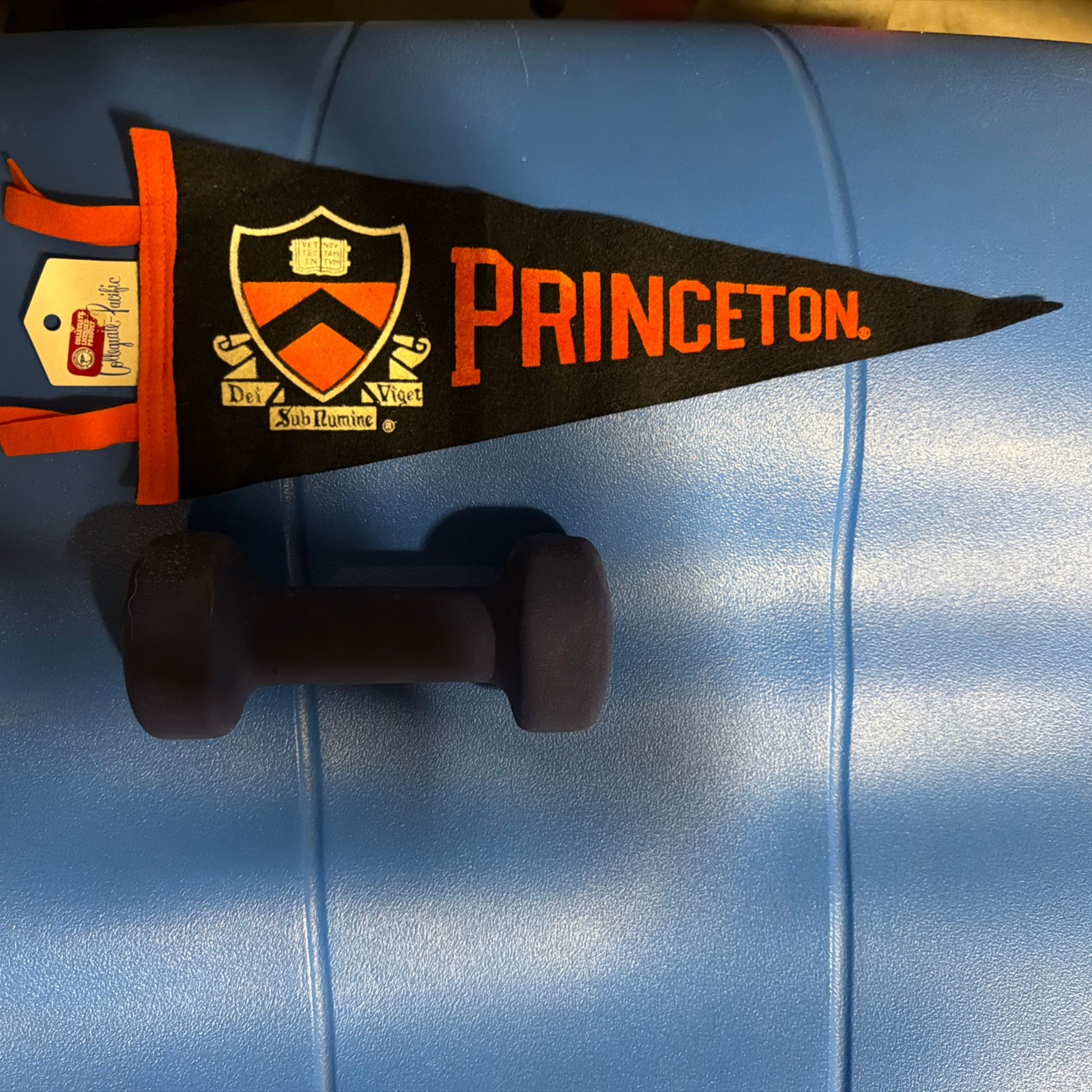 Vintage Princeton Mini Pennant- College / University Memorabilia