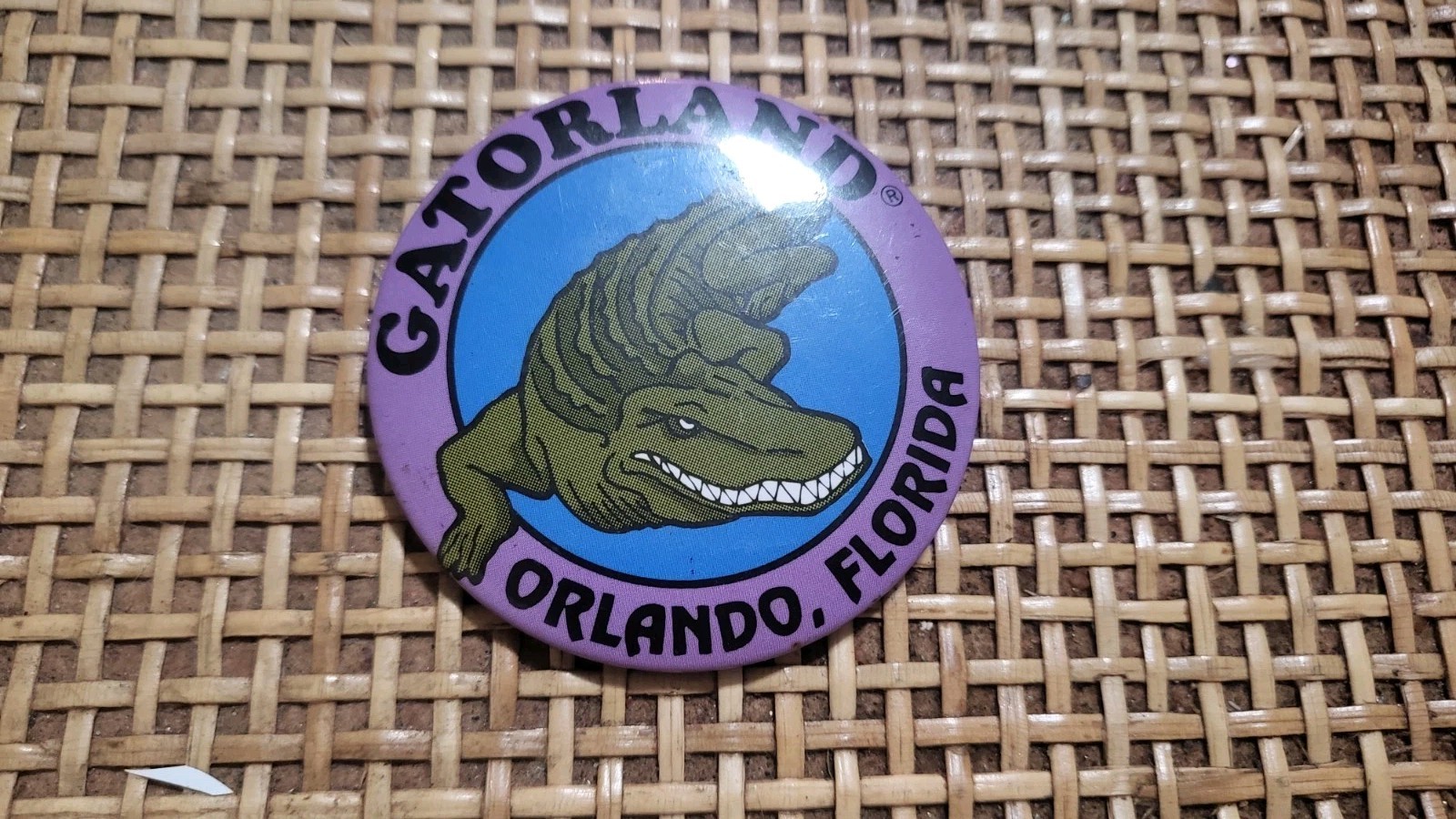 gatorland florida vintage pin back