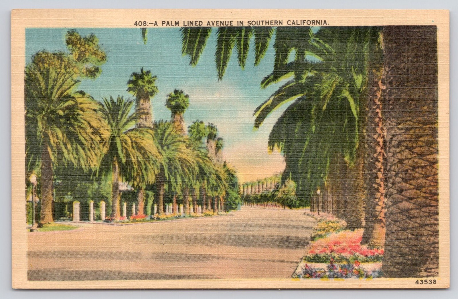 Vintage 408 Palm Lined Avenue Southern California Postcard Herz San Diego Unused Vintage 408 Palm Lined Avenue Southern California Postcard Herz San Diego Unused