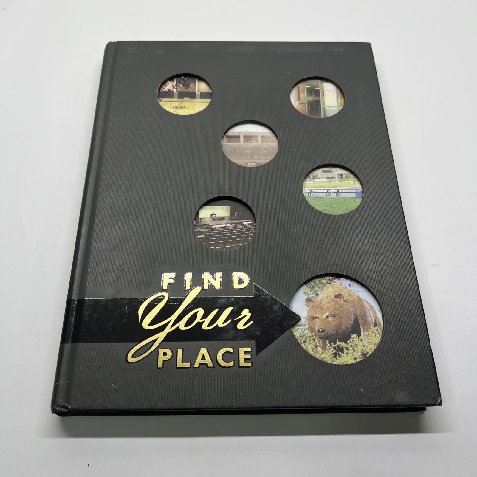 Yearbook: Golden Valley High School Vol 9. Santa Clarita CA.