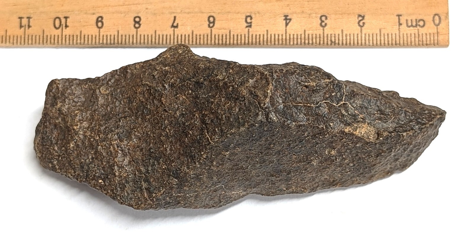 151 Gram Unclassified NWA METEORITE (#F6765)
