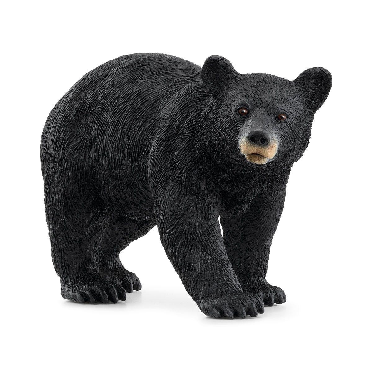 American Black Bear Wild Life Animal Figure by Schleich 14869