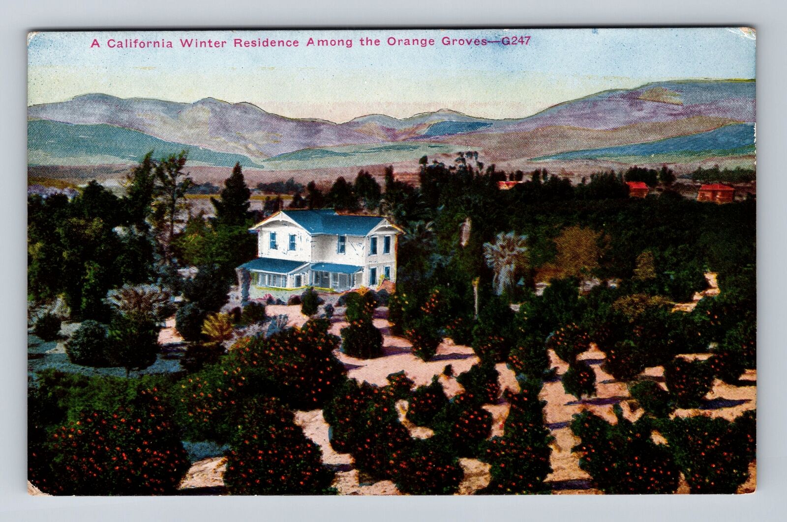 CA-California, California Winter Residence Among Orange Grove Vintage Postcard