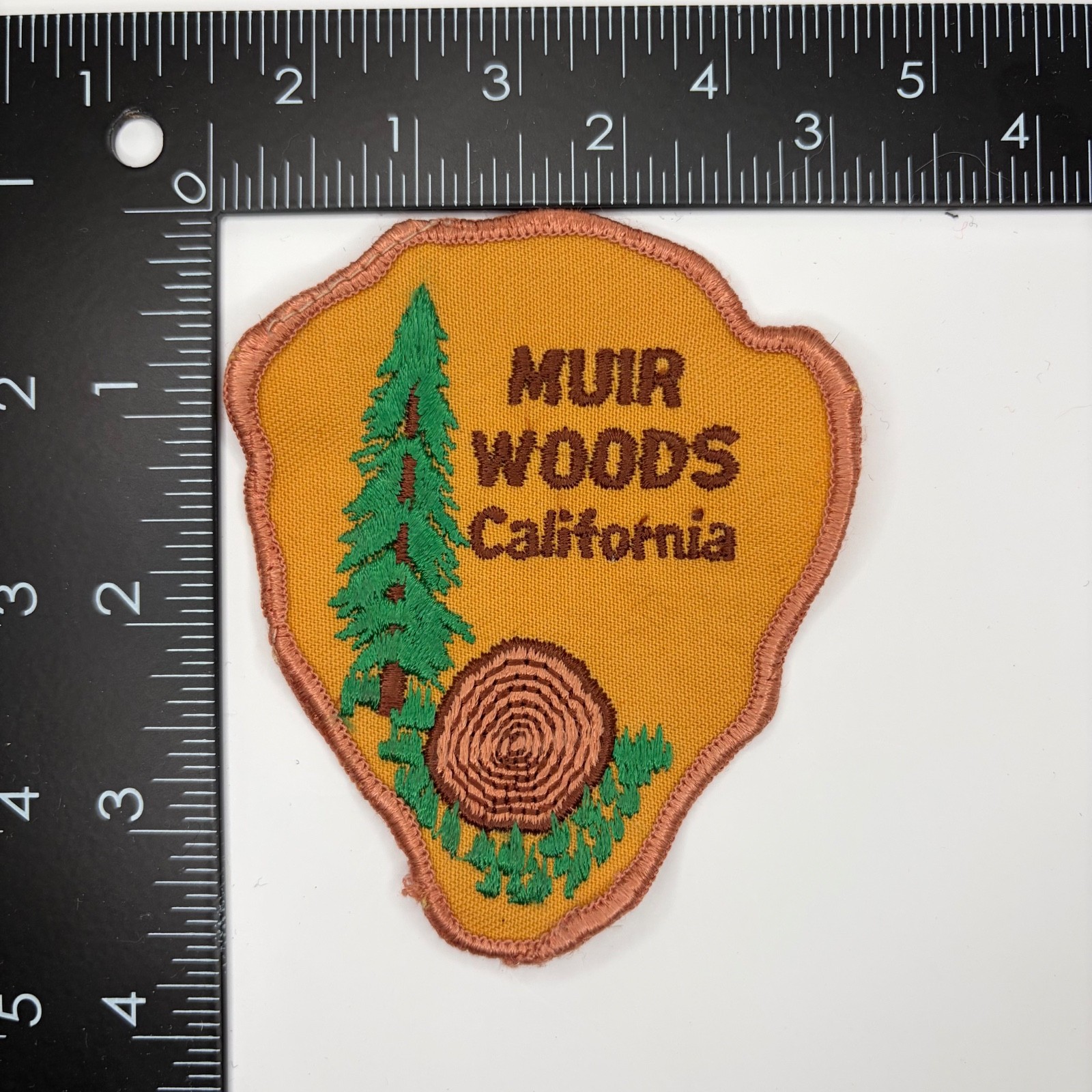 Vintage Muir Woods California Patch National Monument Pine Tree