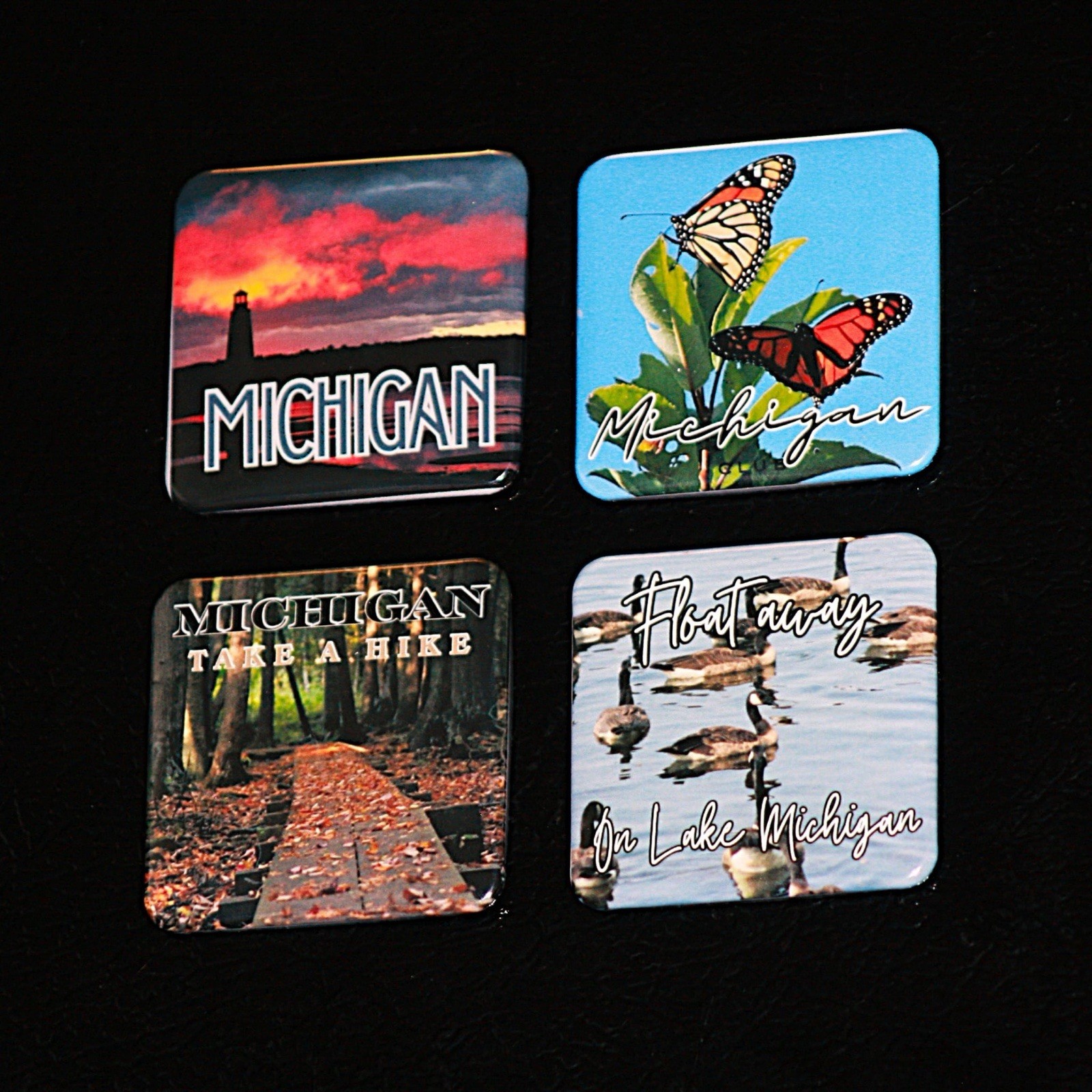 Michigan Photo Magnet Gift Set 4 Photography Souvenir Lighthouse Monarch Decor