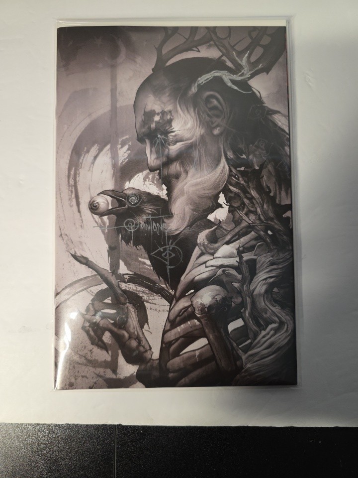 Odin #1 Signed & Remarqued SDCC 2026 Dan Quintana Virgin NM Ltd /500 Odin #1 Signed & Remarqued SDCC 2026 Dan Quintana Virgin NM Ltd /500