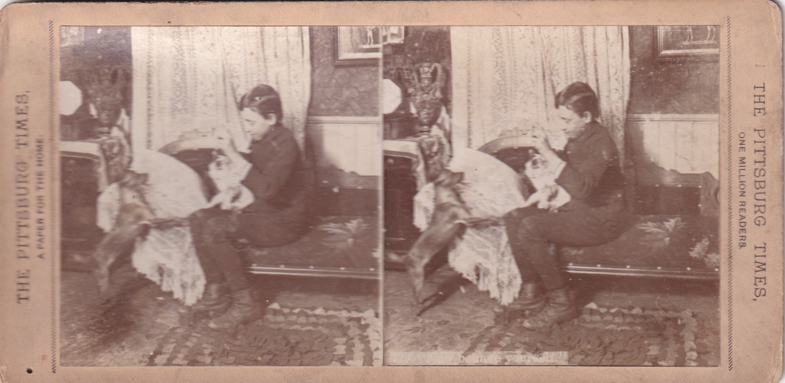 Stereoview Cards  -Boy teasing 2 dogs on a couch, Pittsburg Times