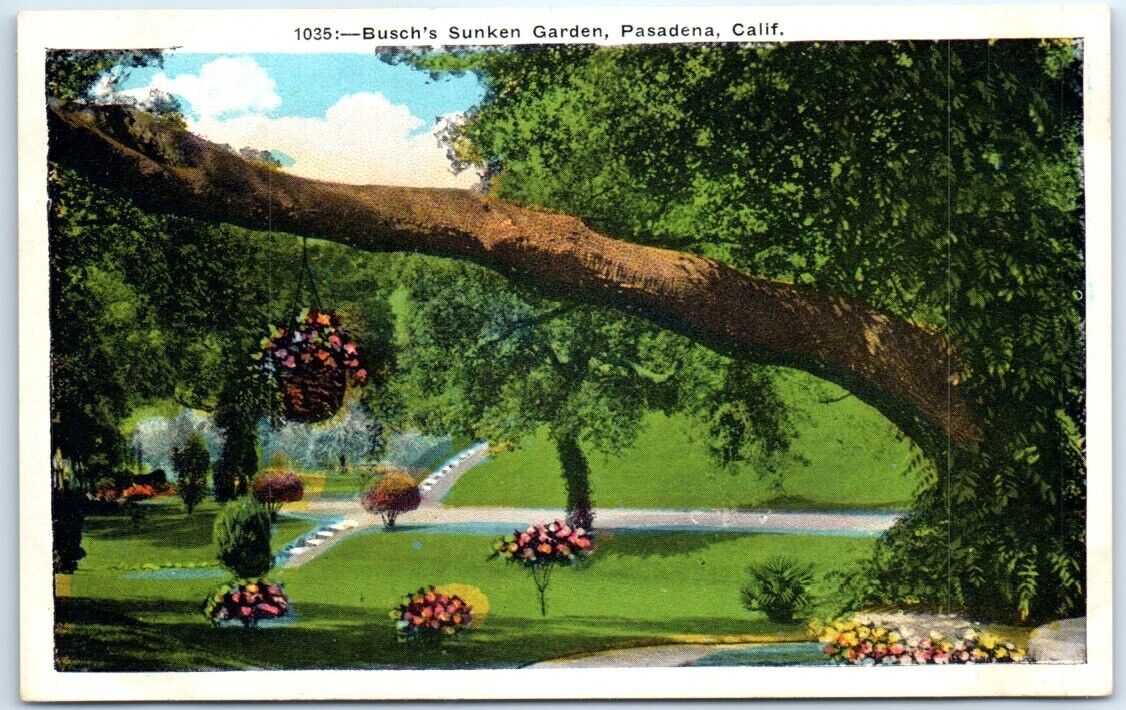 Postcard Busch's Sunken Garden Pasadena California USA North America