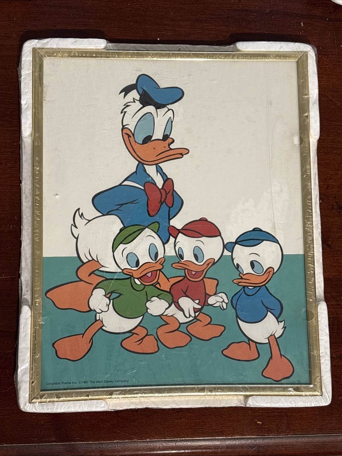 Vintage 1987 Framed Disney’s Donald Duck Huey Dewey Louie Columbia Print