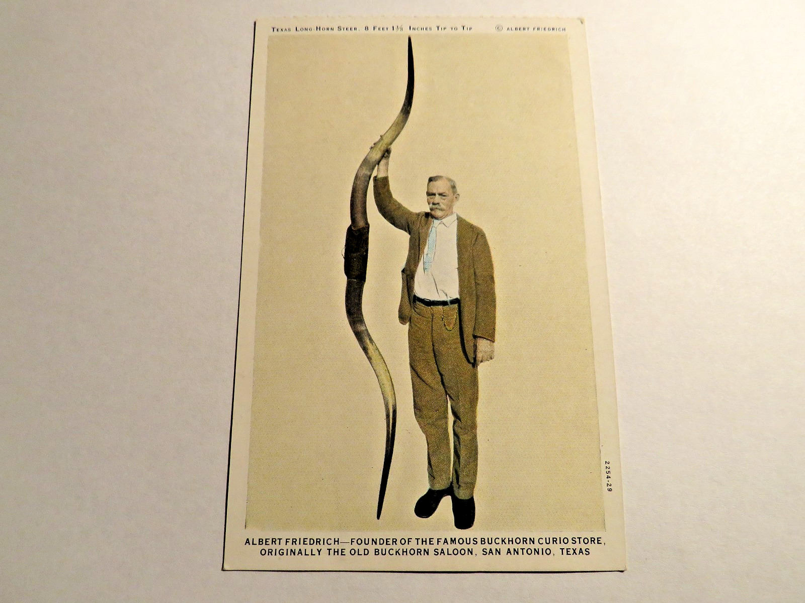 VINTAGE SAN ANTONIO TEXAS LONG HORN ALBERT FRIEDRICH BUCKHORN STORE POSTCARD
