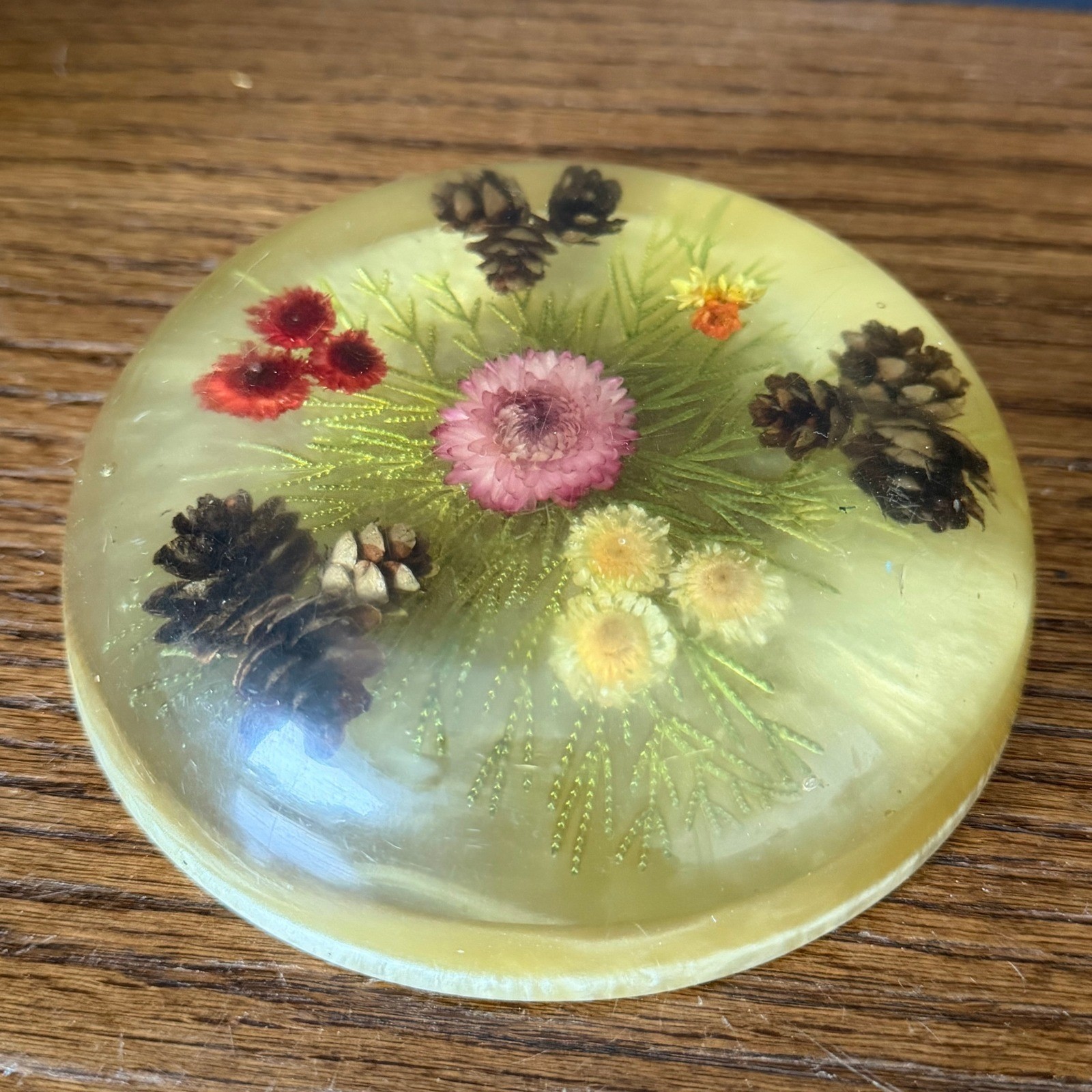 Vintage Resin Paperweight Dried Flower Pinecone Botanical Mid Century Decor 5.5\