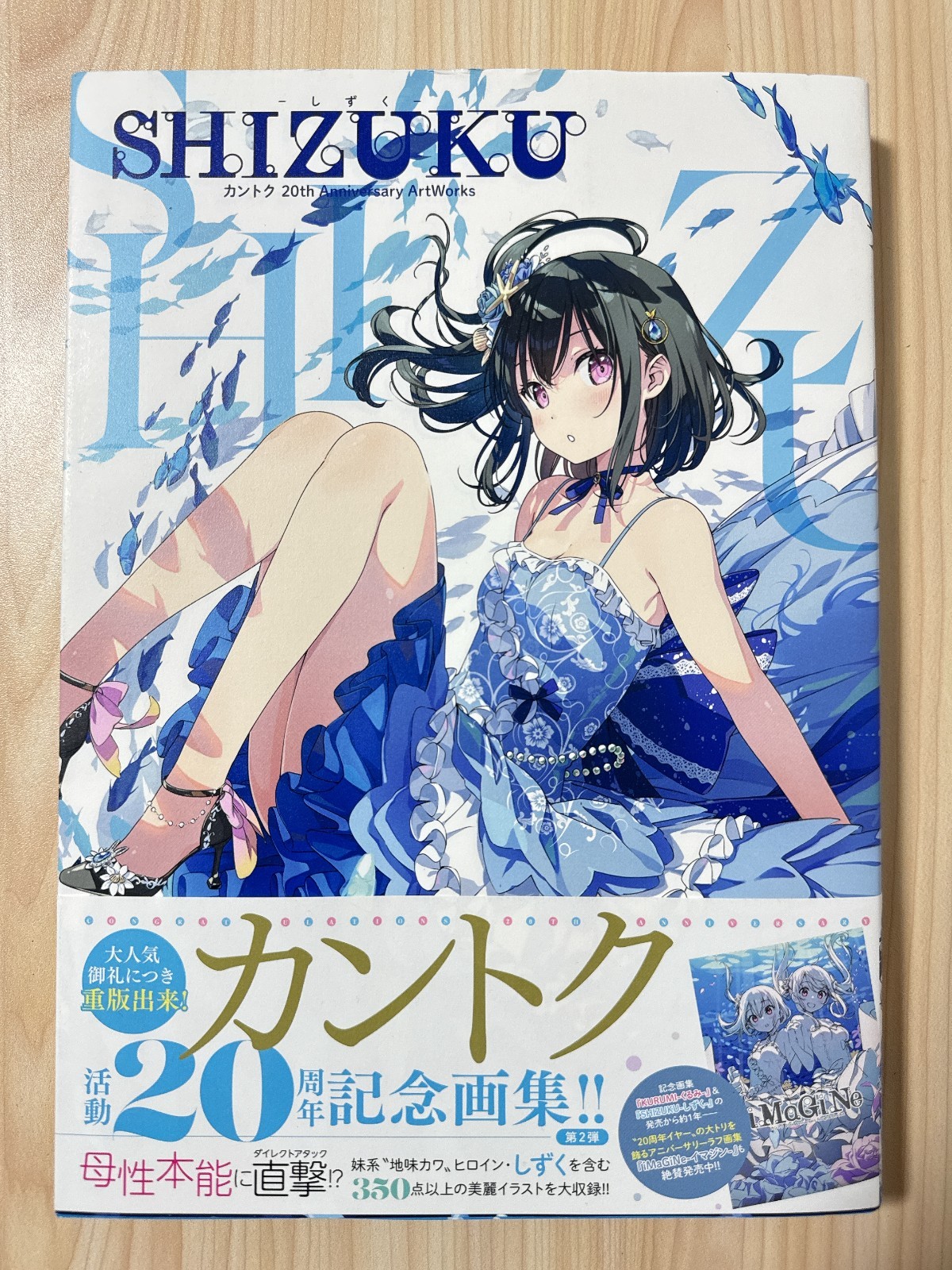 SHIZUKU Kantoku 20th Anniversary Art Works Japan Book