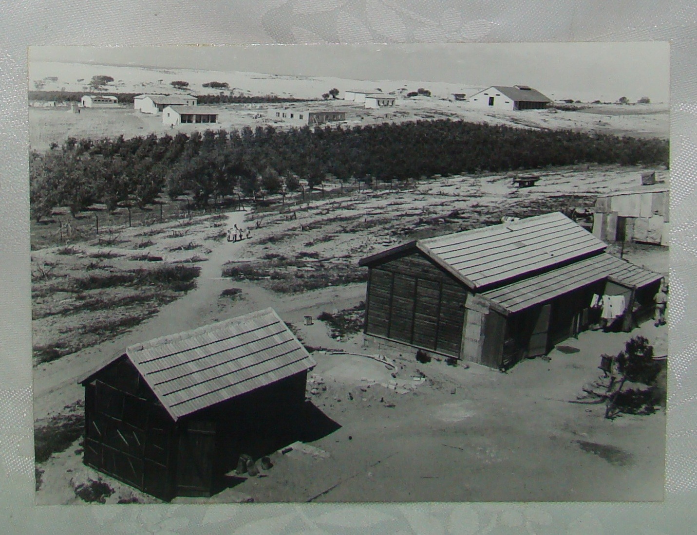 Jewish Palestine Israel press photo 1947 early kibbutz ניצנים settlement zionist