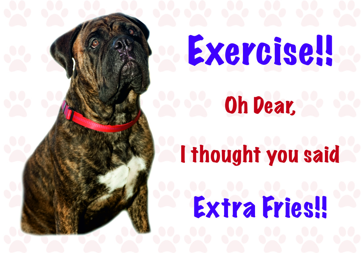 Funny BULLMASTIFF Dog Vinyl Car Van Decal Sticker Pet Animal Lover 