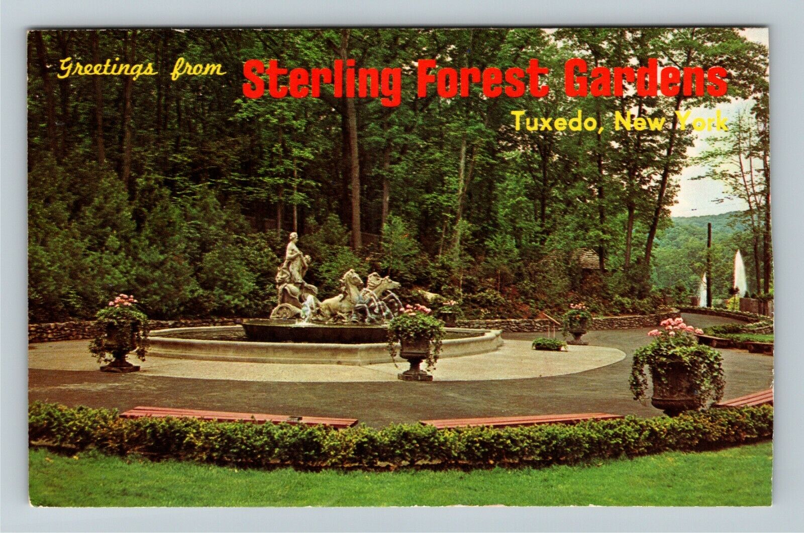 Tuxedo NY-New York, Sterling Forest Gardens, Scenic Greetings, Vintage Postcard