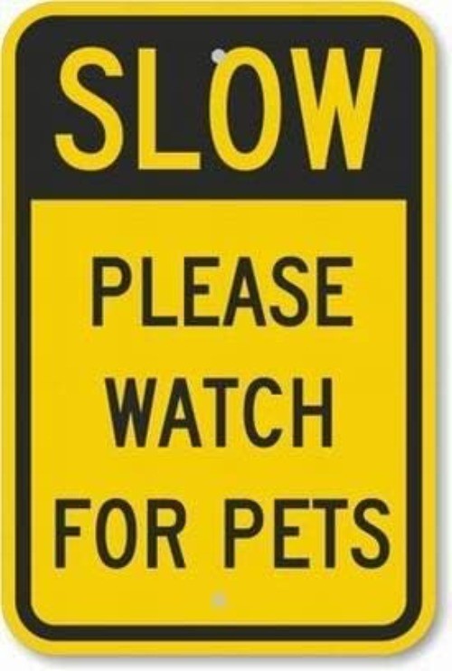 Slow - Please Watch for Pets Safety Sign 8x12 Tin Metal Signs Road Street