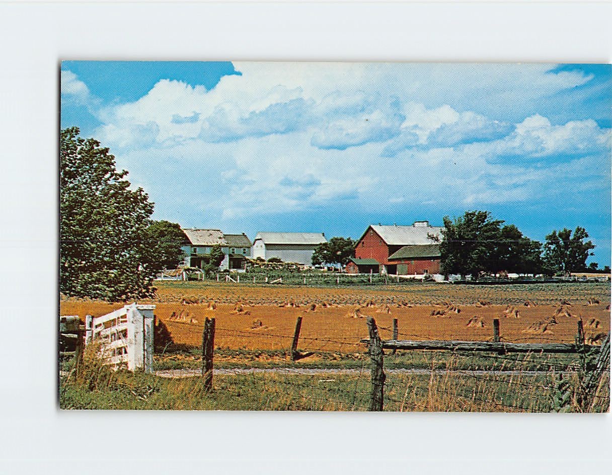 Postcard An Amish Farm After the Grain Harvest Pennsylvania USA H-43155