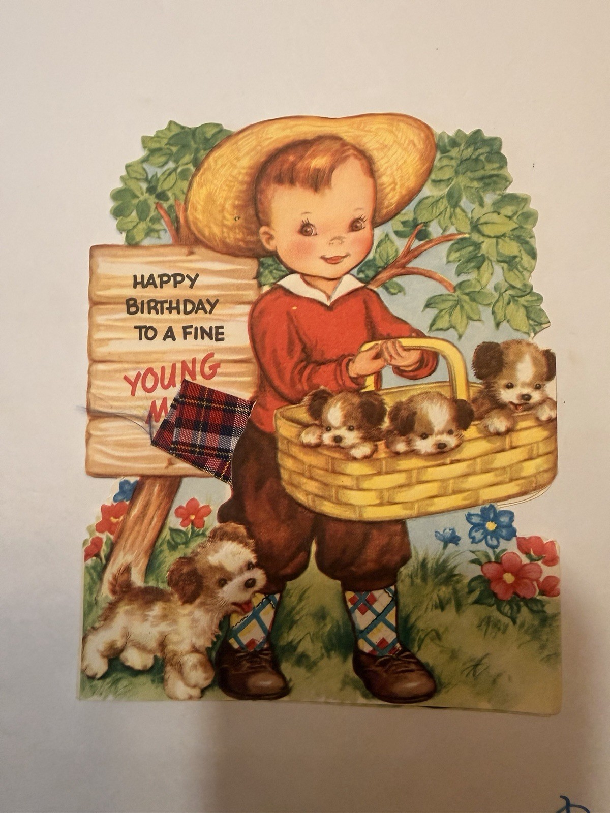 Vintage 1950's Happy Birthday Greeting Card To A Fine Young Man Cowboy Puppies
