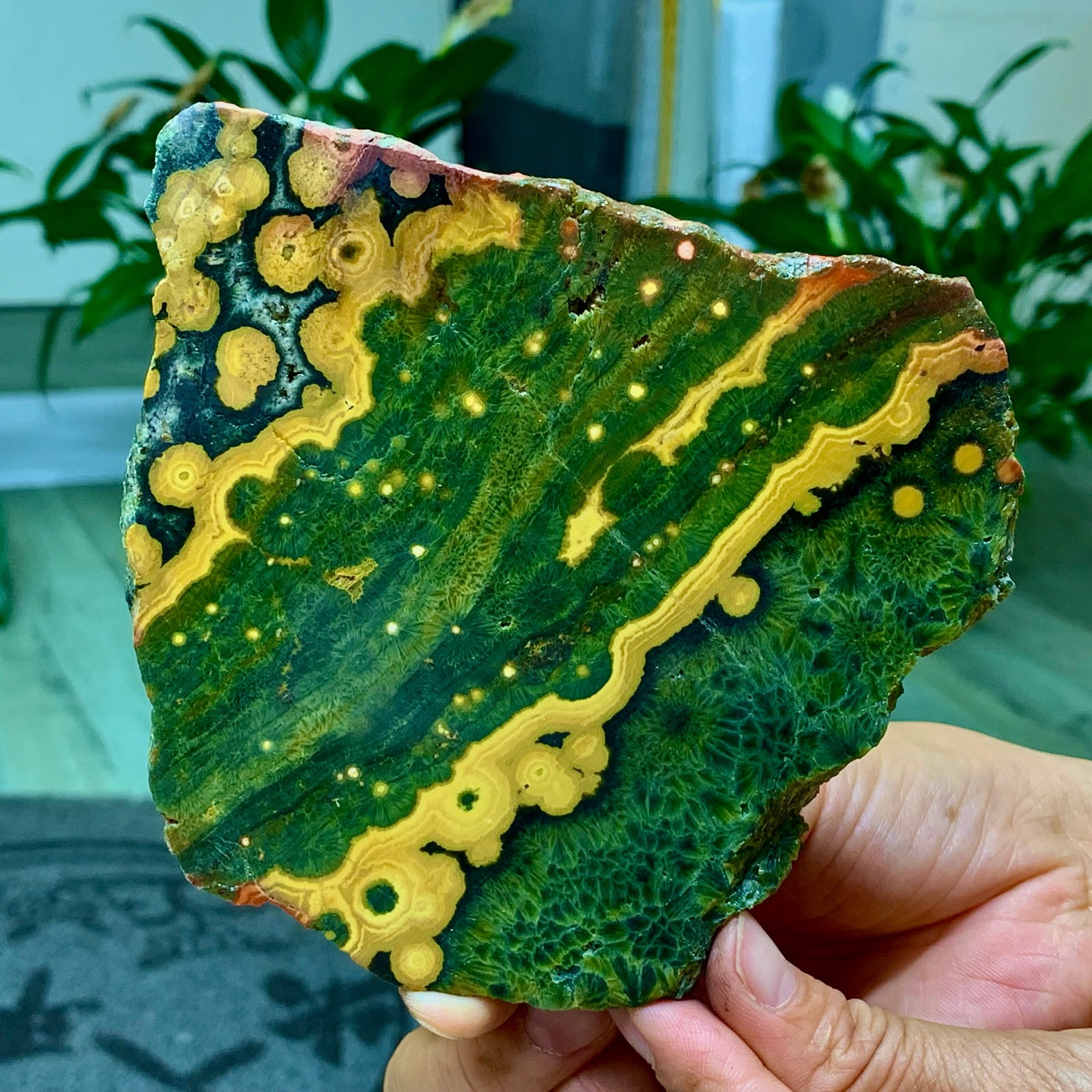 280G Natural Ocean Jasper agate Crystal Specimen Chakra healing /Madagascar
