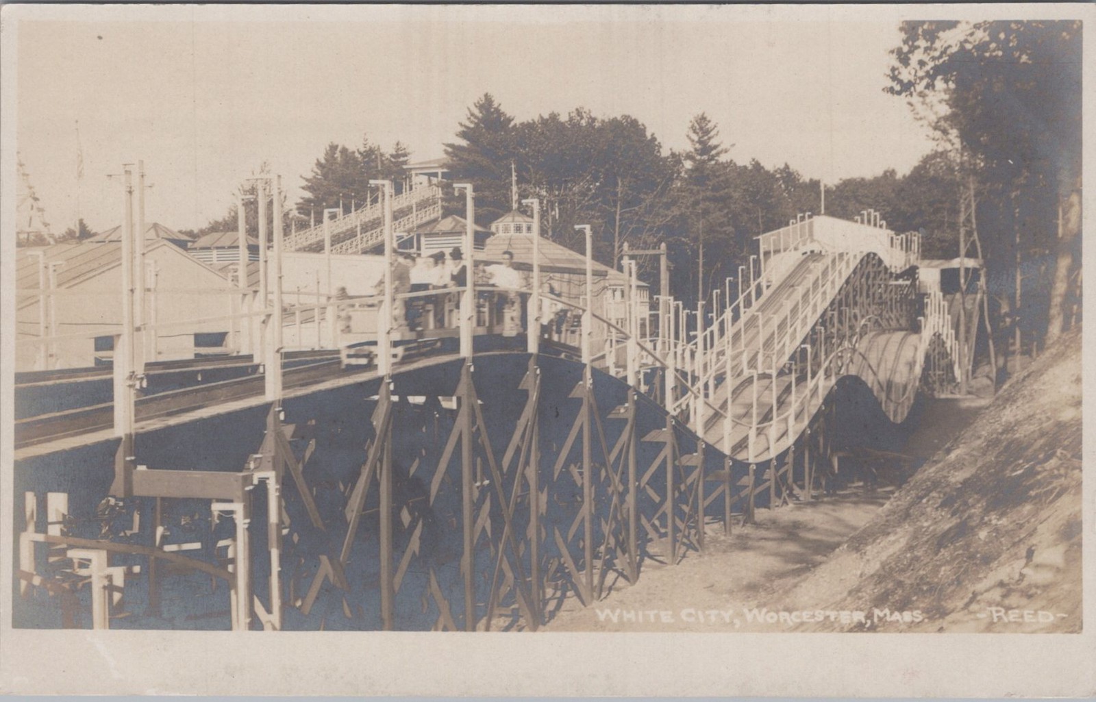 White City Roller Coaster Worcester MA Amusement Park Reed 1900s Postcard