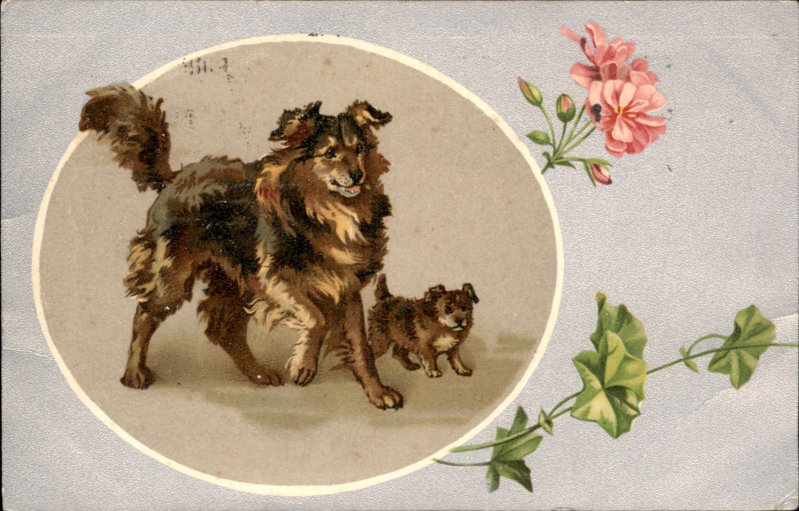 Mother dog with puppy The Popular Series c1900s-10s Vintage Postcard