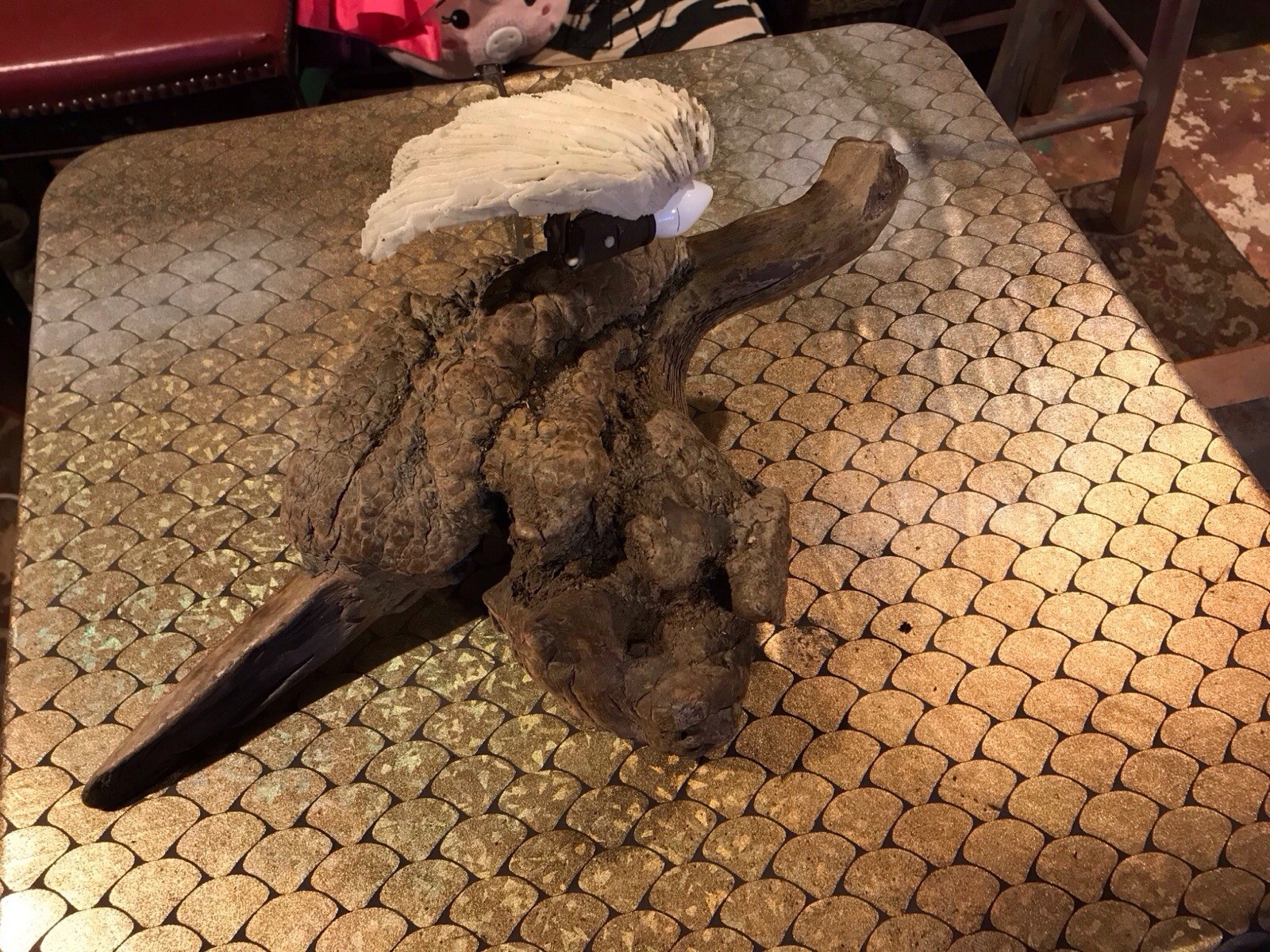 One of a kind, unique Driftwood  Lamp, Sculptural coastal light.
