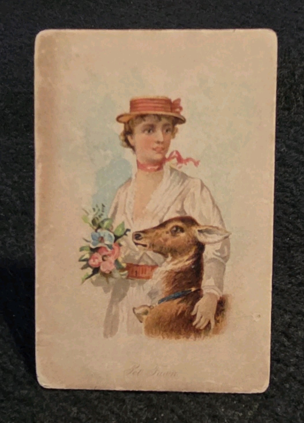 N194 1891 Ws. Kimball, Household Pets, Pet Fawn