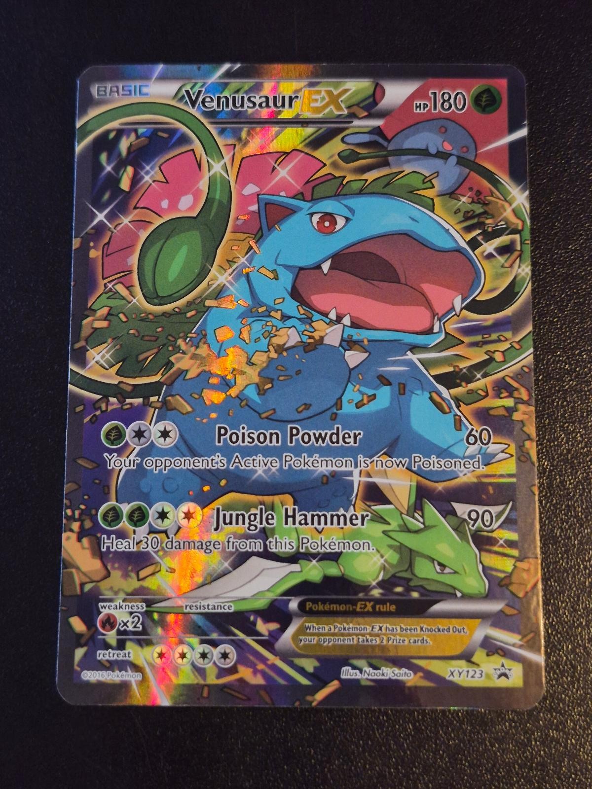 Venusaur EX XY123 Holo Promo XY Promo Pokemon NM