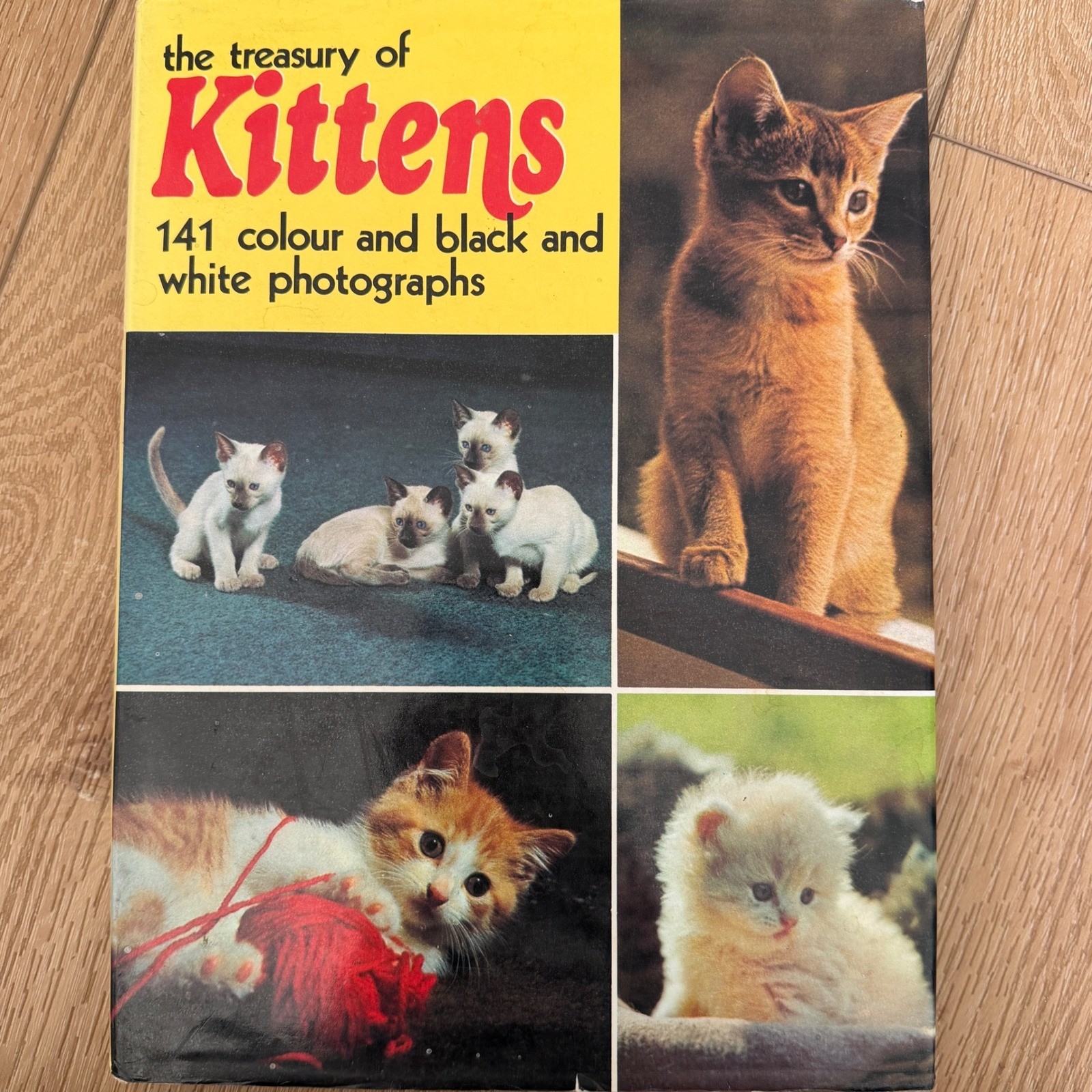 Vintage 1973 The Treasury of Kittens Marjorie Hudson Octopus Books Hardcover Vintage 1973 The Treasury of Kittens Marjorie Hudson Octopus Books Hardcover
