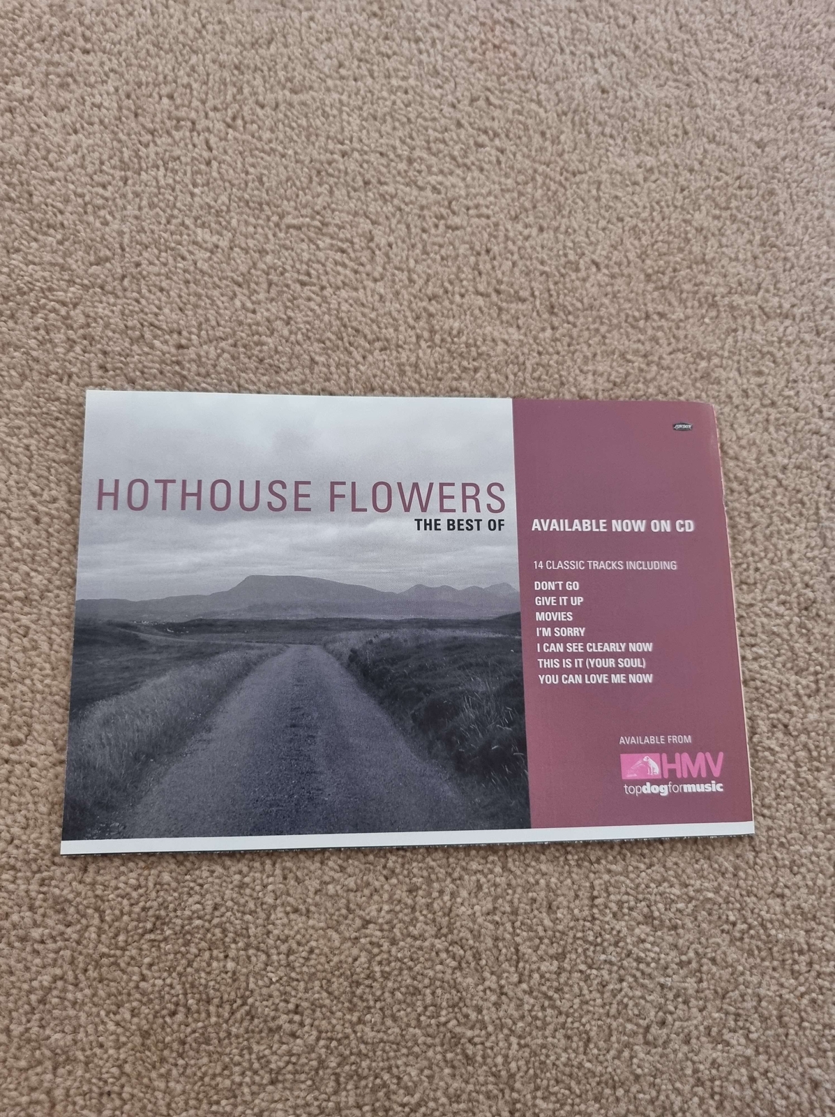 TNEWM115 ADVERT 5X8 HOTHOUSE FLOWERS : \'THE BEST OF\'