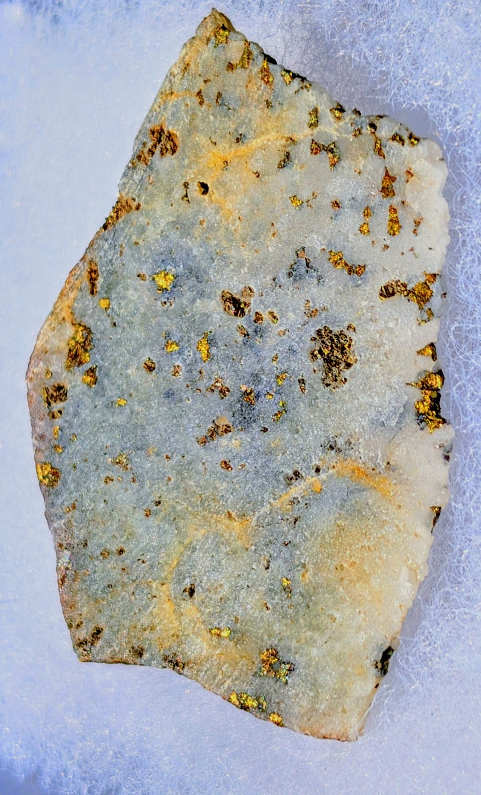 Stunning Gold Ore Slab from the Rugged San Juan Mountains of Colorado